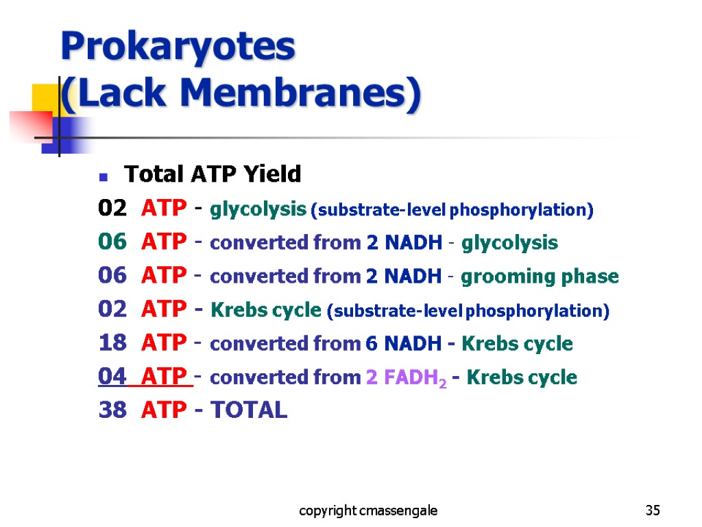 35 Prokaryotes (Lack Membranes) Total ATP Yield 02 ATP - glycolysis (substrate-level phosphorylation) 06